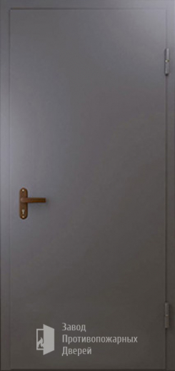 Фото двери «Техническая дверь №1 однопольная» в Солнечногорску