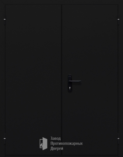 Фото двери «Двупольная глухая №34» в Солнечногорску