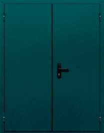 Фото двери «Двупольная глухая №36» в Солнечногорску