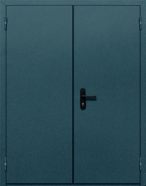 Фото двери «Двупольная глухая №37» в Солнечногорску