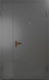 Фото двери «Техническая дверь №6 полуторная» в Солнечногорску
